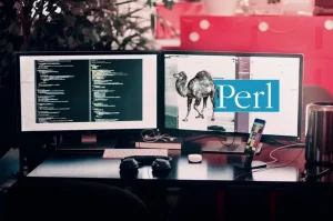 web developers perl