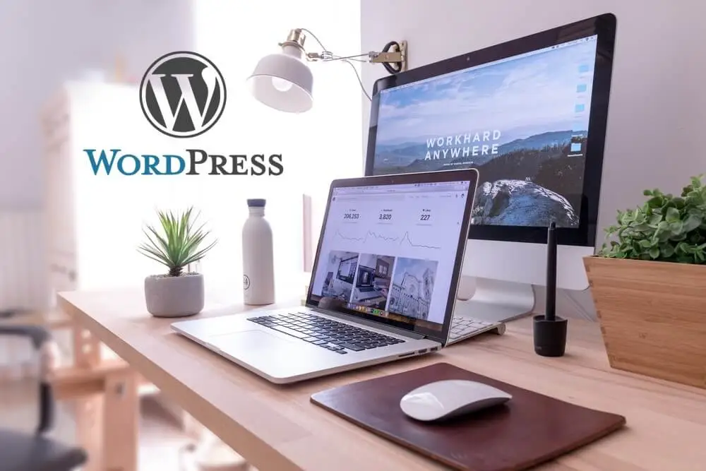 professional wordpress website